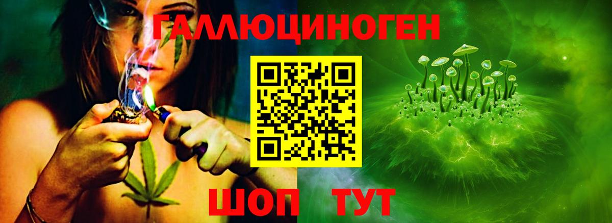 Псилоцибиновые грибы мицелий  купить наркотики цена  Холмск  Галлюциногенные грибы MAGIC MUSHROOMS  Вход с VPN 